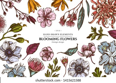 Floral design with colored japanese chrysanthemum, blackberry lily, eucalyptus flower, anemone, iris japonica, sakura