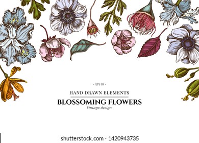 Floral design with colored japanese chrysanthemum, blackberry lily, eucalyptus flower, anemone, iris japonica, sakura