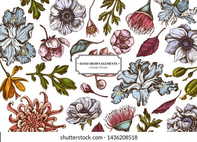 Floral design with colored japanese chrysanthemum, blackberry lily, eucalyptus flower, anemone, iris japonica, sakura