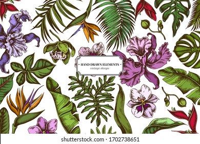 Floral design with colored monstera, banana palm leaves, strelitzia, heliconia, tropical palm leaves, orchid