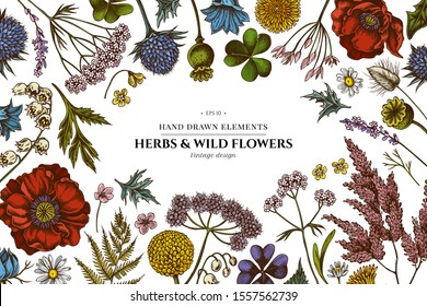 Floral design with colored shepherd's purse, heather, fern, wild garlic, clover, globethistle, gentiana, astilbe, craspedia, lagurus, black caraway, chamomile, dandelion, poppy flower, lily of the