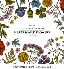 Floral design with colored shepherd's purse, heather, fern, wild garlic, clover, globethistle, gentiana, astilbe, craspedia, lagurus, black caraway, chamomile, dandelion, poppy flower, lily of the