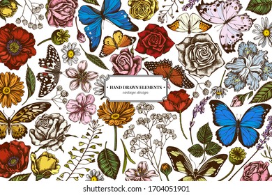 Floral design with colored shepherd's purse, heather, iris japonica, sakura, gypsophila, chamomile, almond, poppy flower, calendula, menelaus blue morpho, blue morpho, lemon butterfly, red lacewing