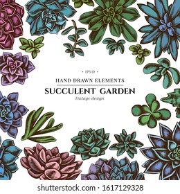 Floral design with colored succulent echeveria, succulent echeveria, succulent