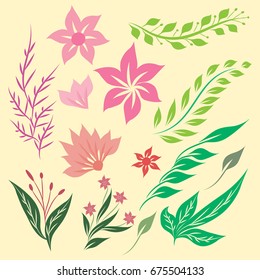 Floral design, decorative elements, Vintage colorful Beautiful vector