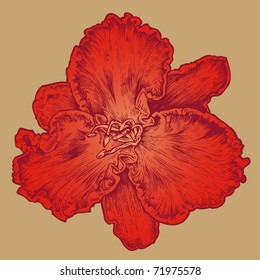 floral design element, engraved retro style. vector illustration