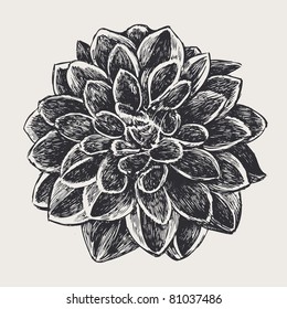 floral design element, engraved retro style. vector illustration