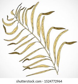 Floral design element. Foliage leaves background pattern. Vector set tropical leaves. Isolated illustration vector. Summer tropical leaf. Watercolor collection