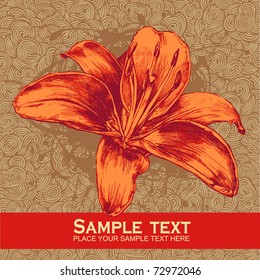 floral design element and hand-drawn doodle background, engraved retro style. vector illustration