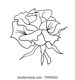 floral design element and hand-drawn , vector illustration
