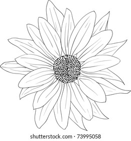 floral design element and hand-drawn , vector illustration