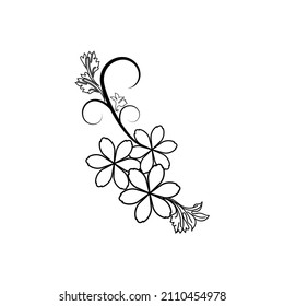 Floral design element in illustrations