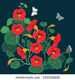 Floral design element nasturtium with butterflies. Vector illustration.