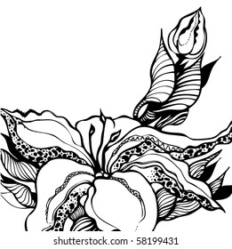 floral design element. sketch style. vector illustration
