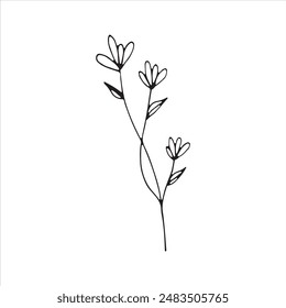 Floral design element in vector illustration