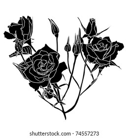floral design element  , vector illustration
