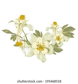 Floral design element with white blooming flowers. Ornate vintage greeting card template