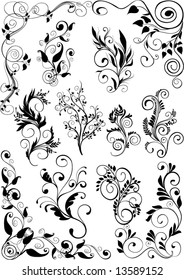 floral design elements