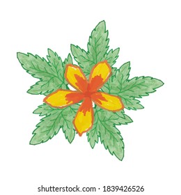 floral design elements created by hand using watercolors