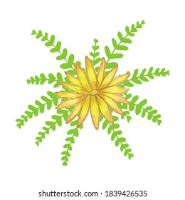 floral design elements created by hand using watercolors