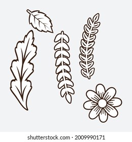 Floral design elements. Creative illustration.