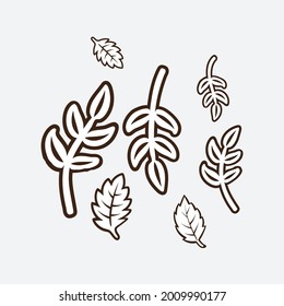 Floral design elements. Creative illustration.