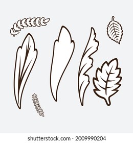 Elementos de diseño floral. Ilustración creativa.