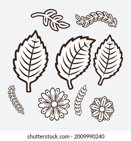 Floral design elements. Creative illustration.