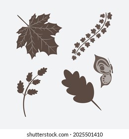 Floral design elements. Creative illustration.