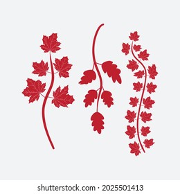 Floral design elements. Creative illustration.