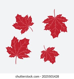 Floral design elements. Creative illustration.