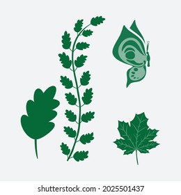 Elementos de diseño floral. Ilustración creativa.