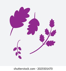 Floral design elements. Creative illustration.