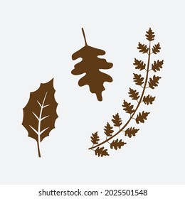 Floral design elements. Creative illustration.