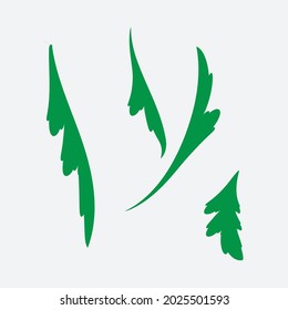 Floral design elements. Creative illustration.
