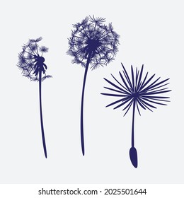 Floral design elements. Creative illustration.