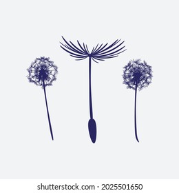 Floral design elements. Creative illustration.