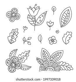 Floral design elements. Flowers, herbs and leaves isolated on white. Monochrome illustration, line, sketch art. Elements for patterns, coloring pictures, packaging, logo design.