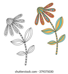 Floral design elements. Hand drawn doodle. Black and white and clored vesion. Vector illustration.
