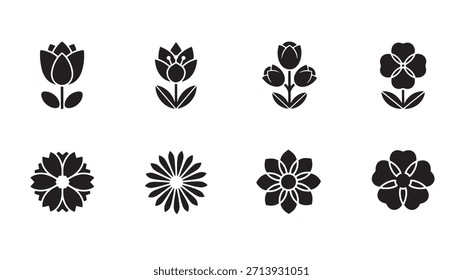 Floral design elements isolated on white. Flower blossom garden plant botanical nature and decorative element. Best for adding natural and elegant touch