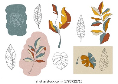 Elementos de diseño floral. Arte gráfico moderno. Ilustración vectorial