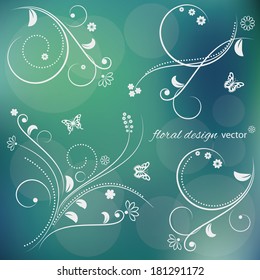 Floral design elements on blurred soft background. Vector illustration.