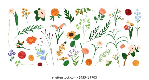 Floral design elements set. Field and garden flowers, wildflowers, leaf plants, branches. Delicate blossoms, blooms, herbs. Botanical natural flat vector illustrations isolated on white background