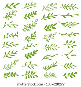 Floral design elements set. Green ornaments. Flowers, leaves, branches. Simple sketch hand drawn decorative doodle borders set isolated on white background