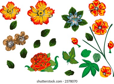 floral design elements for valentine day