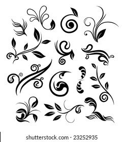 Floral design elements. Vector illustration.