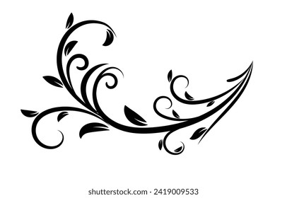 Floral design elements vector illustration. isolated black flourish