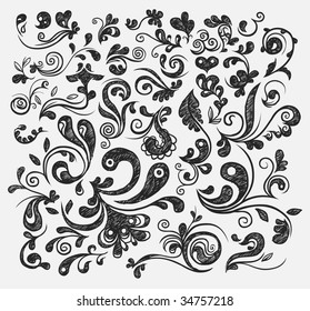 Floral design elements. Vector illustration.