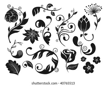 Floral design elements. Vector illustration.