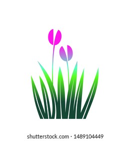 Floral Design Elements vector isolated. pink Tulips flower illustration 